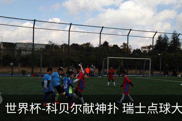 世界杯-科贝尔献神扑 瑞士点球大战4-3哥伦比亚进8强