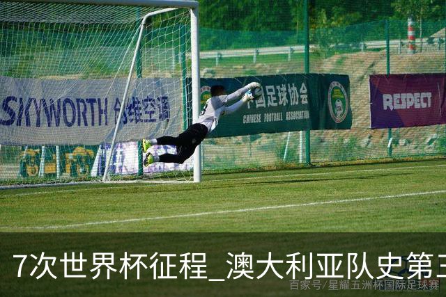 7次世界杯征程 澳大利亚队史第三次小组赛出线